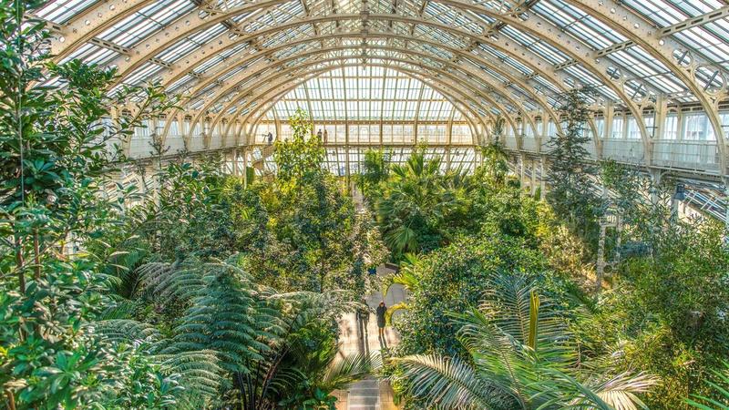 Botanische Gärten: Schönheit und Nutzen für die Welt
