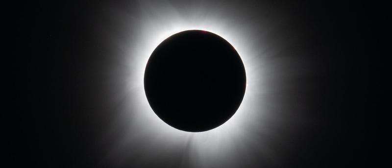 Die Kontroverse um die Antizipation von Sonnenfinsternissen durch Bäume