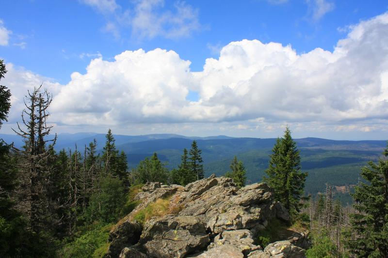 Der Nationalpark Bayerischer Wald – Ein Modell für natürliche Waldentwicklung und Biodiversitätsschutz
