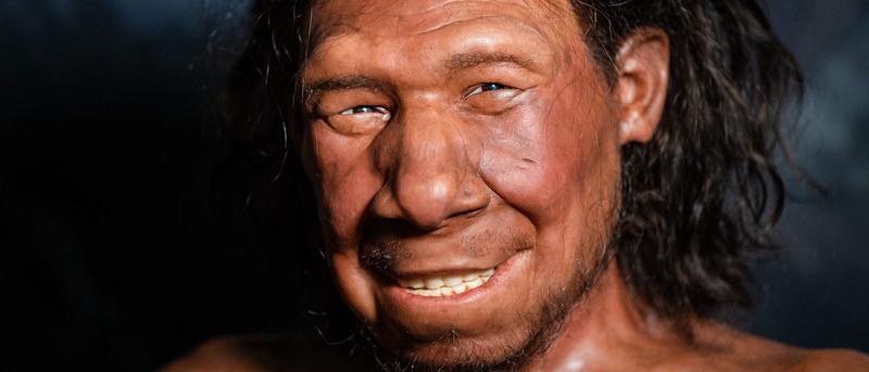 Die genetische Verbindung zwischen Neandertalern und modernen Menschen