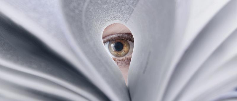 Elisabeth Bik und die Krise der wissenschaftlichen Integrität: Systemische Herausforderungen und der Kampf gegen Forschungsbetrug