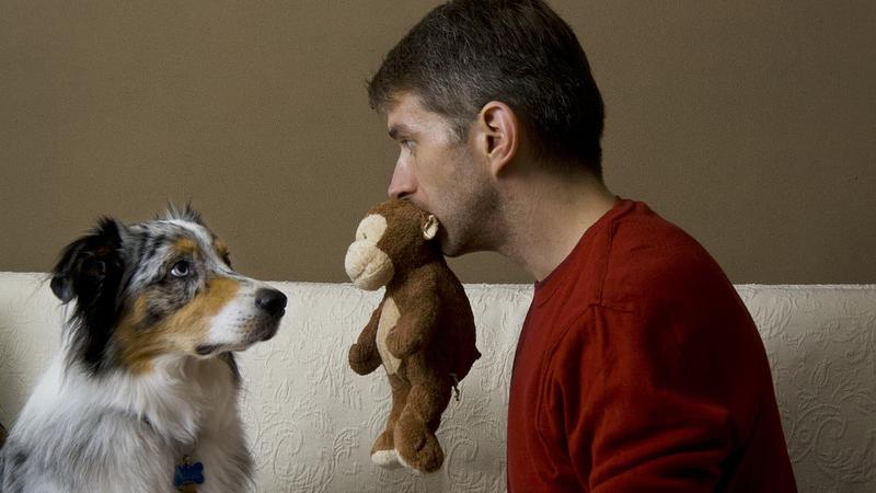 Die Psychologie der Mensch-Hund-Dyade: Eine differenzierte Betrachtung von Kompatibilität, Genetik und Umweltfaktoren
