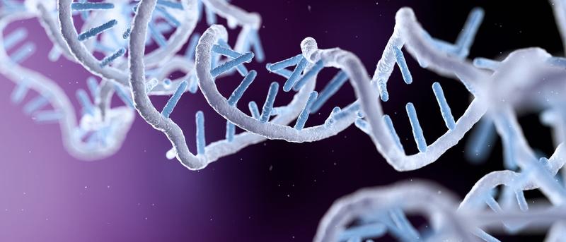 Was ist RNA?