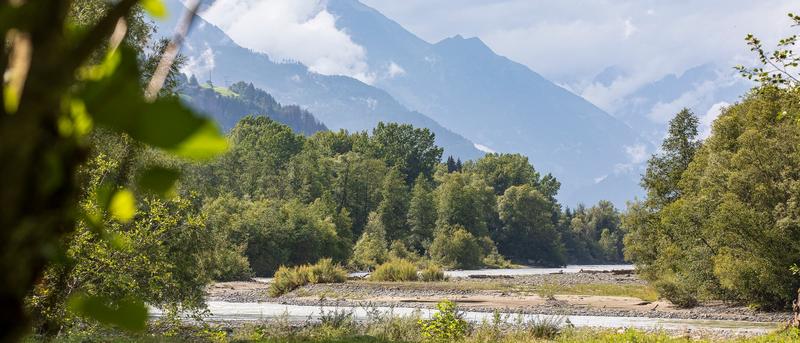 Die Isel: Ein letzter freier Fluss in den Alpen