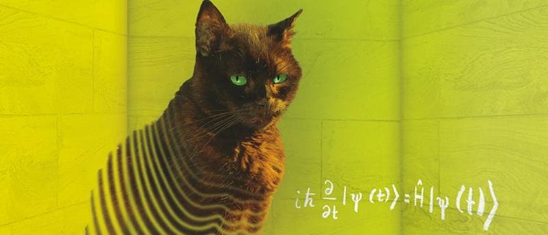 Schrödingers Katze und die experimentelle Erforschung quantenmechanischer Überlagerungen