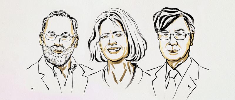 Medizin-Nobelpreis 2025: Revolutionäre Erkenntnisse zur Immunregulation und ihre klinischen Implikationen
