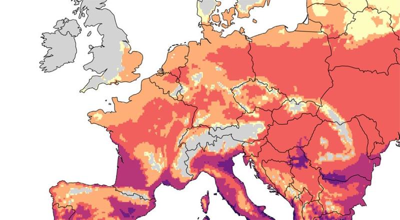 Chikungunya-Virus in Europa: Wie der Klimawandel die Gefahr erhöht