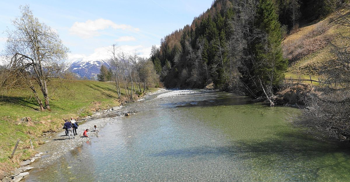 Die Isel: Ein einzigartiger Wildfluss und seine Bedeutung für die Natur