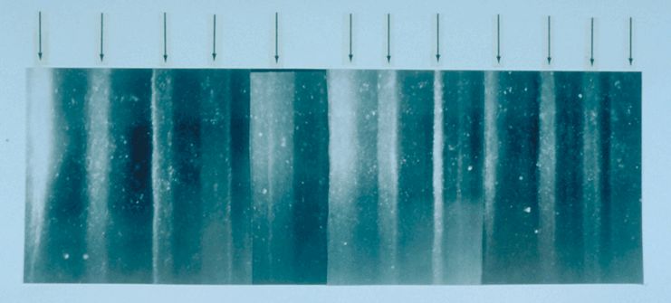 Gefahr und Chance: Ein uraltes Bakterium aus dem Eis