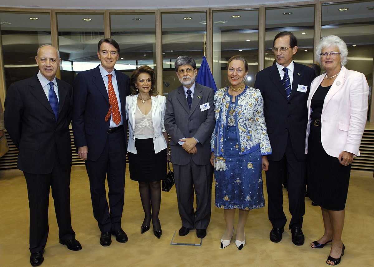 Das EU-Mercosur-Abkommen: Wirtschaftliche Chancen, ökologische Risiken und geopolitische Strategien