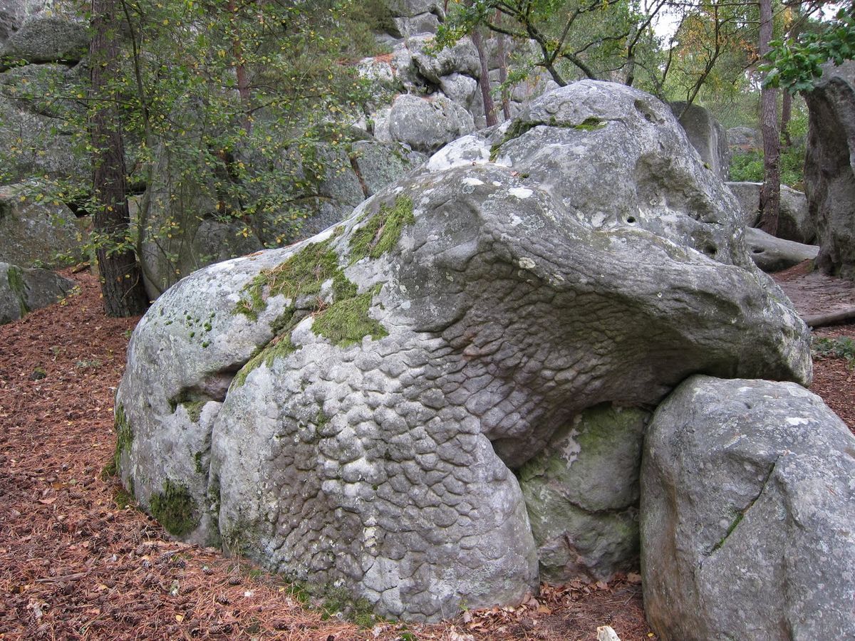 Einblick in die Urzeit: Die ältesten Reptilienschuppen
