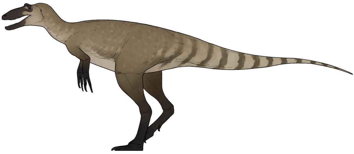 Nanotyrannus: Neue Erkenntnisse und anhaltende Kontroversen