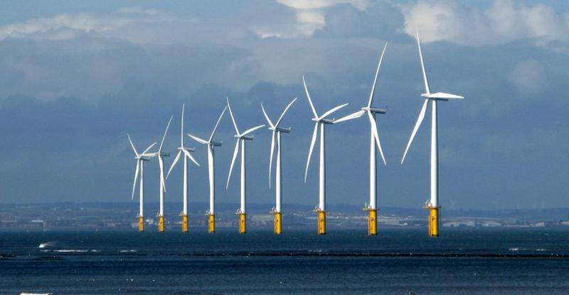 Die vielschichtigen Auswirkungen von Offshore-Windparks auf das Ökosystem der Nordsee