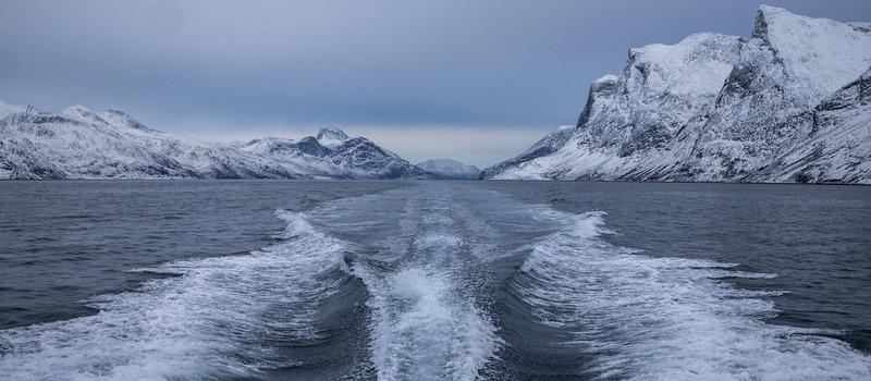 NATOs „Arctic Sentry“: Strategische Neuausrichtung in der Arktis und diplomatische Lösungen im Grönland-Streit
