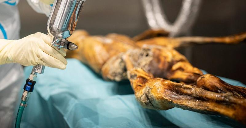 Ötzi und das uralte Virus HPV16