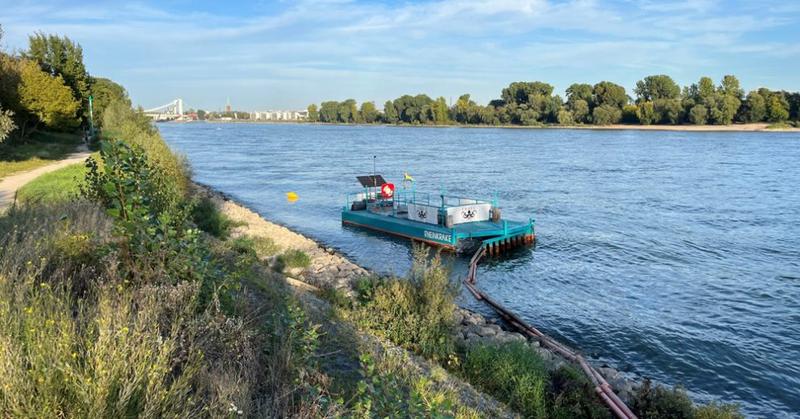 Viel Müll im Rhein