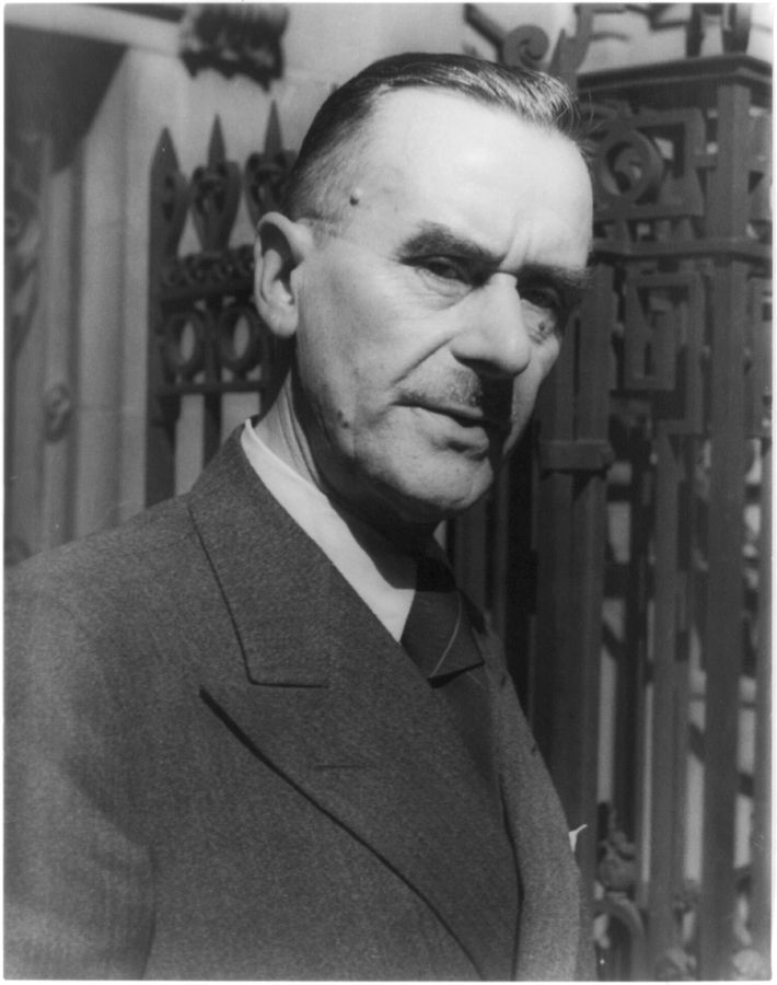 Thomas Mann und die literarische Kanonisierung der Astronomie: Eine interdisziplinäre Perspektive auf Wissenschaft und Kultur