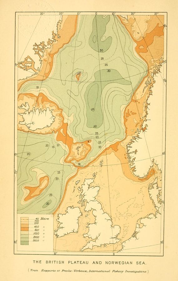 Kryptische Biodiversität: Genetische und morphologische Analysen enthüllen fünf neue Ruderfußkrebs-Arten in der Nordsee