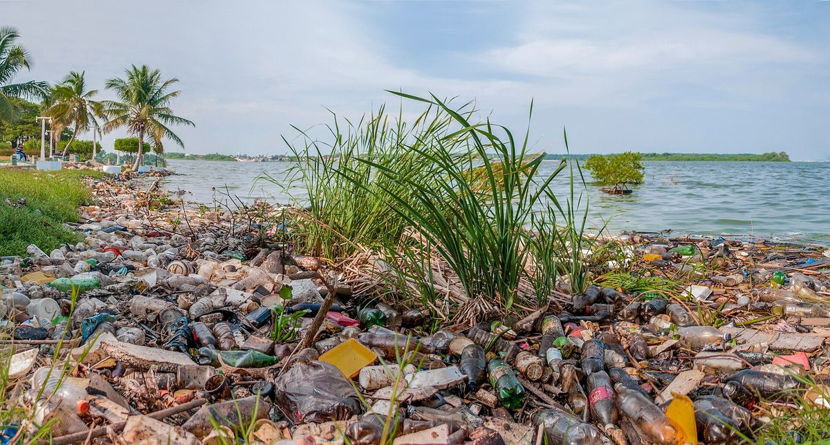 Öl in Venezuela – Ein Problem für die Umwelt