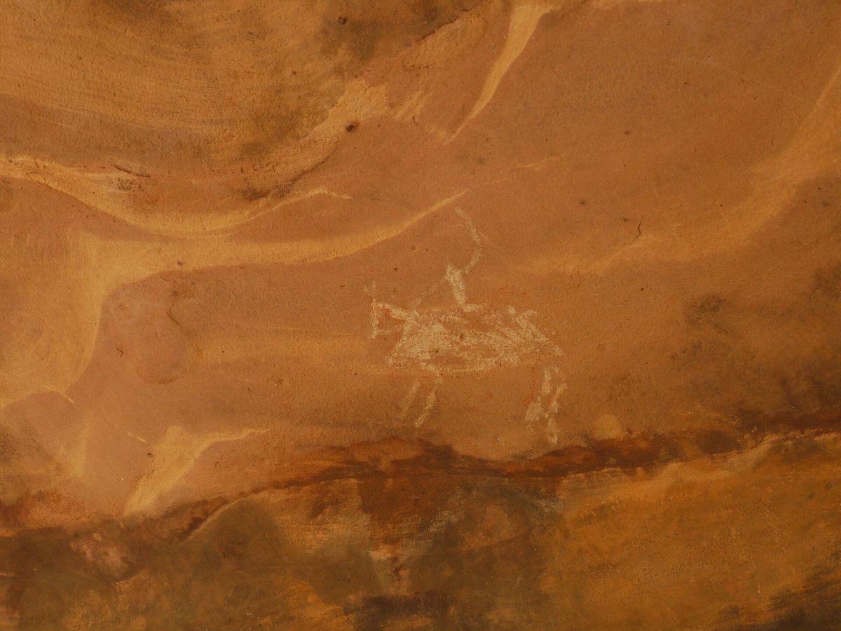 Revision der Pferdedomestizierung: Neue genetische und archäologische Perspektiven